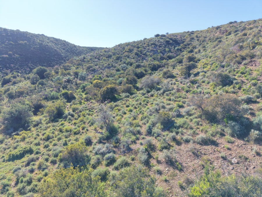 Commercial Property for Sale in Mossel Bay Rural Western Cape